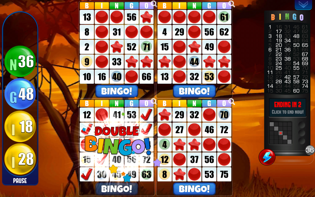 video bingo